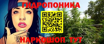 хмурый Малгобек