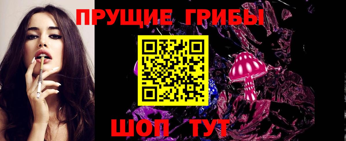 Псилоцибиновые грибы мицелий  Вход с VPN  Зерноград  Галлюциногенные грибы мицелий 