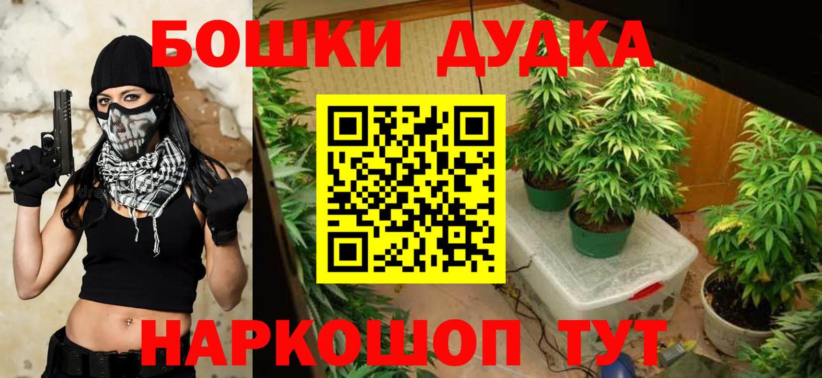 Шишки марихуана ГИДРОПОН  Вход с VPN  Шишки марихуана тримм  Бошки марихуана марихуана  Зерноград 
